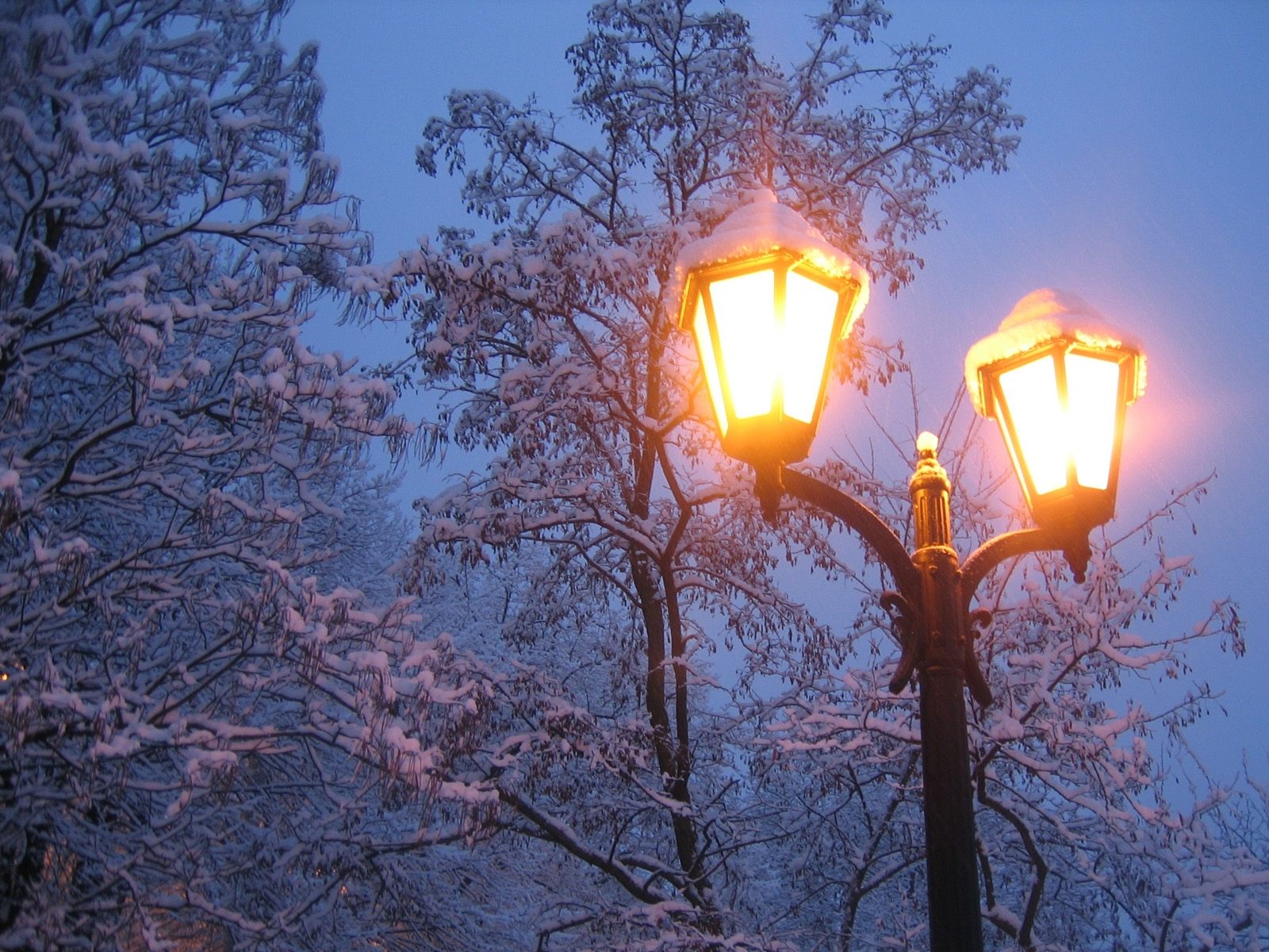 Фонарь, зима, снег, свет, деревья обои, картинки, фото