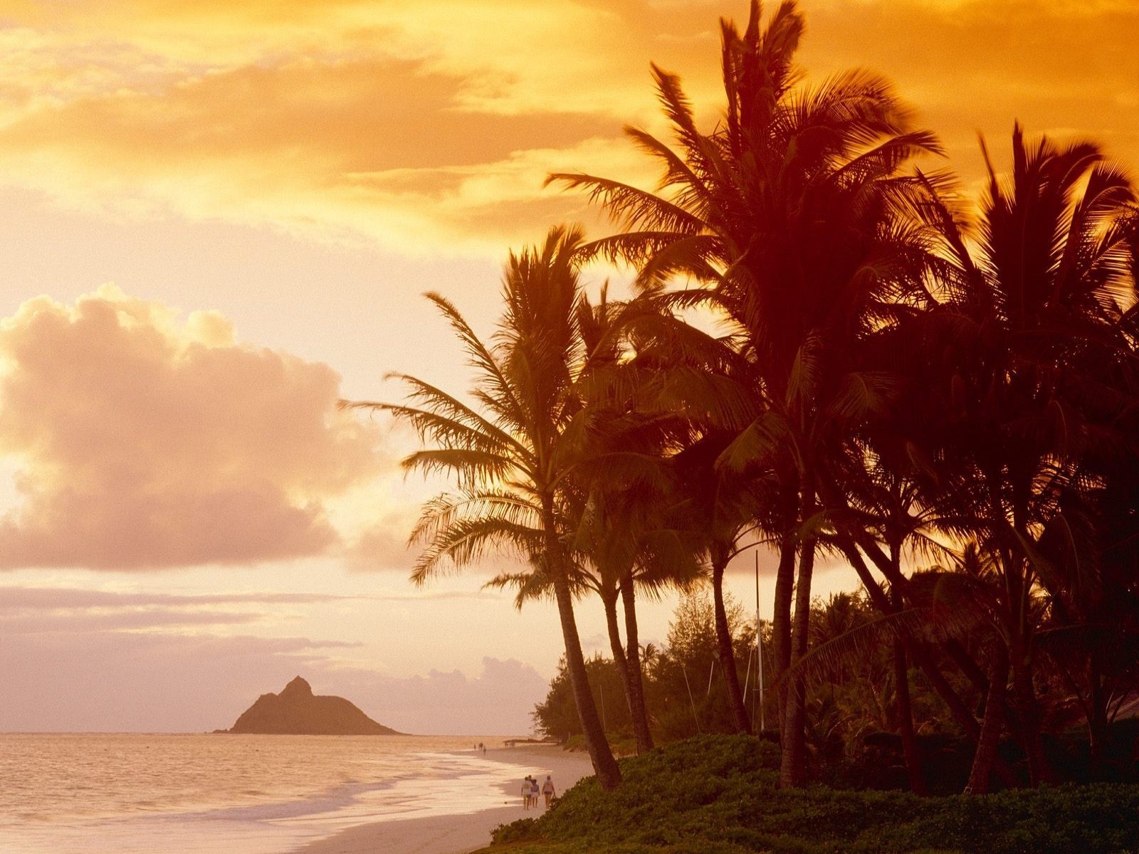 Гаваи, пальмы, закат обои, картинки, фото