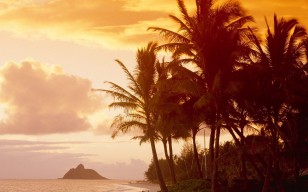 Гаваи, пальмы, закат