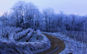 Природа, зима, дорога, иней обои