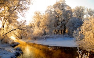 Река, лес, зима, иней, седина, свет, отражение, оранжевый обои
