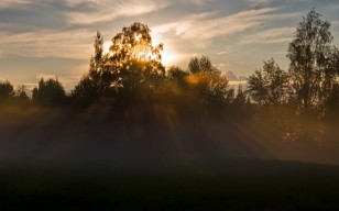 Утро, природа, туман, свет обои