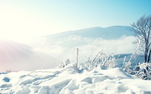 Зима, снег, природа обои