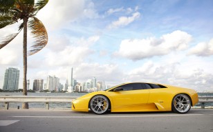 Желток, Lamborghini, дорога, пальма, облака, небо, диски обои 2000x1293