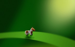 Лист, пони, Зеленый, лошадь, микро обои